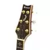 Ibanez ARC500-NT