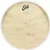 Evans BD20CT
