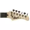 Cort STAT3 BM
