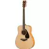 Yamaha FG 840 NT