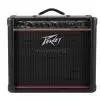 Peavey Envoy 110