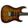 Washburn X10 QVS