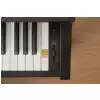 Kawai CA 17 B