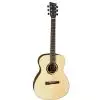 VGS 501350 R-50 Rose Natural Gloss