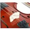 AN Violin Student 4/4 set