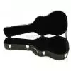 T-Case classic guitar case