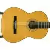 EverPlay Luthier-5