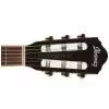 Ibanez AEG10N-ENT