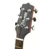 Takamine EG220NS