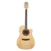 Fender T-Bucket 450-E FLM MPL