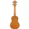 Fzone FZU-07S 21 Inch ukulele