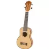 Fzone FZU-07S 21 Inch ukulele