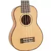 Fzone FZU-07S 21 Inch ukulele