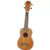 Fzone FZU-06S 21 Inch ukulele