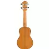 Fzone FZU-06S 21 Inch ukulele