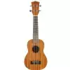 Fzone FZU-110S 21 Inch ukulele