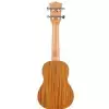 Fzone FZU-110S 21 Inch ukulele