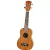 Fzone FZU-110S 21 Inch ukulele