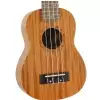 Fzone FZU-110S 21 Inch ukulele