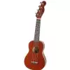 Fender Venice