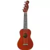 Fender Venice
