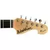 Washburn X10 QVS