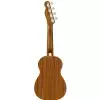 Fender Zuma Nat