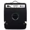 Hartke A-100