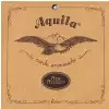 Aquila Terzina Nylgut STR CL