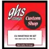 GHS Custom Shop Pat Martino Sig Flatwounds STR ELE L 16-56