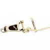 Bigsby B3 Vibrato Gold TH AE Bridge