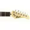 Cort STAT2 RD