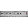 Soundking AK30A