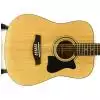 Ibanez V7012 NT