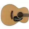 Takamine EG220NS