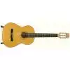 EverPlay Luthier-5