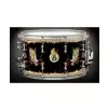 Ddrum Vinnie Paul Dragon
