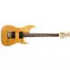 Washburn N1 NM