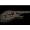 PRS 2017 SE Mark Holcomb HB
