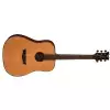 Dean AXS Dreadnought GN