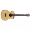 Traveler Guitars Acoustic CL 3EQ - with Equilizer, Cutaway, and Bag