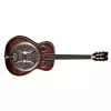 Dean Resonator Spider AO