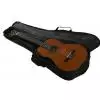 Proel BAG-100P