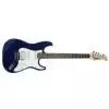 Cort STAT3 BM