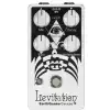 EarthQuaker Devices Levitation V2 