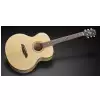 Framus FJ 14 SMV - Vintage Transparent Satin Natural Tinted