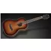 Framus FP 14 M - Vintage Sunburst Transparent High Polish