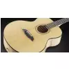 Framus FJ 14 SMV - Vintage Transparent High Polish Natural Tinted