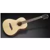 Framus FP 14 SV - Vintage Transparent Satin Natural Tinted + EQ