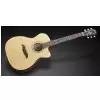 Framus FF 14 SV Vintage Transparent Satin Natural Tinted + EQ